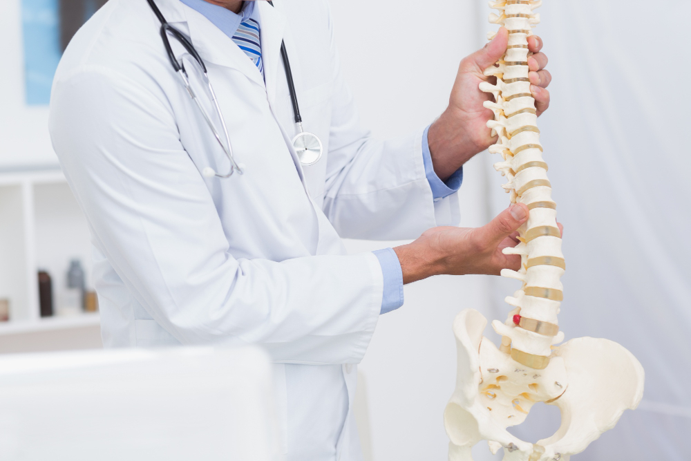 doctor-holding-anatomical-spine.jpg