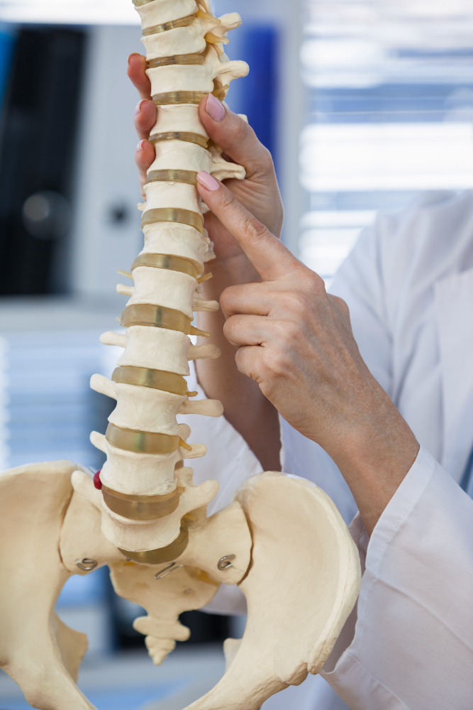 female-doctor-holding-spine-model.jpg