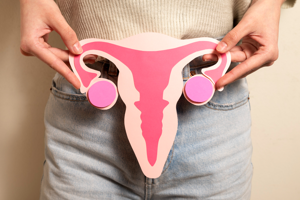 front-view-woman-holding-reproductive-system.jpg